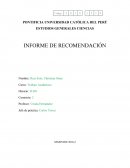 Informe sobre derrame de mercurio en Choropampa