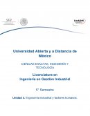 Ergonomía industrial y factores humanos. Actividad 2. Factores de análisis de las condiciones de trabajo