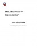 Derechos Humanos y sus Garantías cuadro