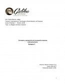 Concepto y perspectiva de la pequeña empresa Latinoamericana