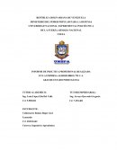 Ingenieria de Costos. INFORME DE PRÁCTICA PROFESIONAL REALIZADA EN LA EMPRESA AGRORUBROS 795 C.A