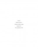 Liderazgo y trabajo en equipo. El enfoque del liderazgo