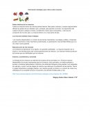 Información biológica para niños sobre insectos