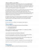 ¿Qué es un reflejo y un arco reflejo?