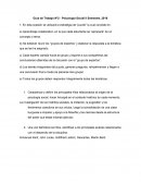 Guía de Trabajo Nº2 - Psicología Social II Semestre, 2018