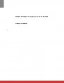 Herramientas de Calidad. Mapa Mental