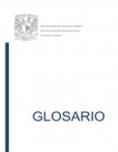 GLOSARIO