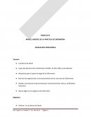 MARCO JURIDICO DE LA PRÁCTICA DE ENFERMERIA LEGISLACION PROFESIONAL