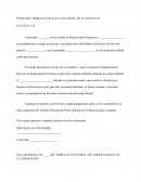 PLENO DEL TRIBUNAL ESTATAL ELECTORAL DE GUANAJUATO