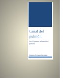 Canal del pulmón