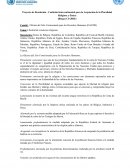 Proyecto de Resolución - Coalición Intercontinental para la Aceptación de la Pluralidad Religiosa y Étnica