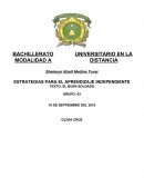 ESTRATEGIAS PARA EL APRENDIZAJE INDEPENDIENTE TEXTO: EL BUEN SOLDADO