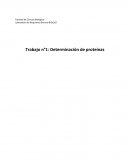 Laboratorio de Bioquímica General BIOL265