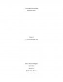 Ensayo la Casa de Bernalda Alba