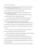 La cultura como sistema simbolico