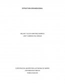 Estructura organizacional empresa dedicada a la producción y comercialización de hallacas