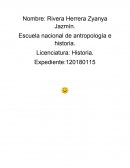 Gatos en abandono una solución para ellos