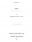 Revisoria fiscal, riesgos empresariales