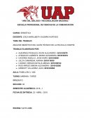 SEMIOTICA PROGRAMA NARRATIVO DE LA PELICULA CHAPIE