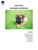 Caso Provet Investigación de Mercado