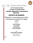 Producción y comercialización de la fibra de henequén de la hacienda San Miguel Chac