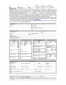 Entrevistas COMPRA