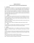 MEMORIA DESCRIPTIVA PROYECTO DE INSTALACIÓN DE RED DE GASES MEDICINALES