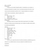 Acides de la col. Conductor cialidina que produciremos con la col morada