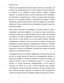 Epitelios, musculos y neuronas