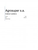 Agrosuper s.a. Análisis Cualitativo