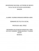 PROGRAMA DE ESTANCIAS INFANTILES PARA APOYAR A MADRES TRABAJADORAS Y PADRES SOLOS