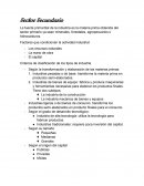 Sector secundario y terciario