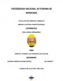 CUANDO LAS TARANTULAS ATACAN