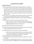 CALIDAD DE VIDA LABORAL FUNCIONES ESPECÍFICAS