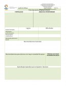 Ficha descriptiva del grupo