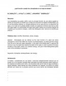 Los cloroplastos en la hoja de elodea