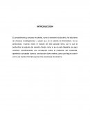 INCIDENTES DENTRO DEL DEBATE