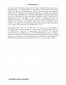 Análisis de Caso - Organizacional