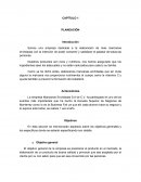 Plan de negocios empresa Manzanas Enchiladas S.A de C.V.