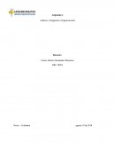 Análisis y Diagnóstico Organizacional. Indicadores de Gestión