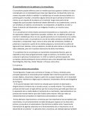 Ensayo sobre surrealismo - características, temas y autores