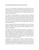 Rol de las Organizaciones Internacionales en el panorama actual