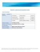 La estructura del reporte de costos