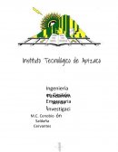 Finlandia Libro Basta de Historias