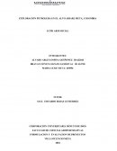 EXPLORACIÓN PETROLERA EN EL ALTO ARIARI, META, COLOMBIA