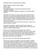 INTRODUCCIÓN Y PROCESO DE CATARSIS