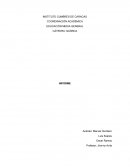 Distintos grados de acidez o pH en diversas sustancia