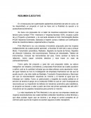 Resumen Ejecutivo “Pink –mechanic´s”