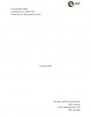 Protocolos de Telecomunicaciones Servidor DNS