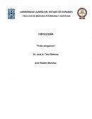 Practica "Frotis sanguíneo"